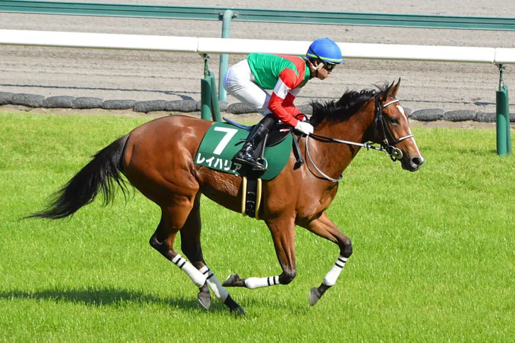 【JRA】重賞2勝のレイハリアが引退、繁殖入り