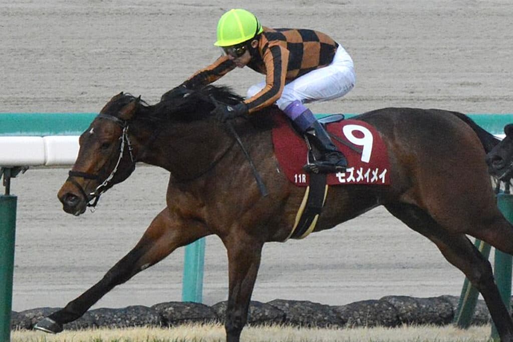 【アイビスSD予想2024】変わり身を見せたモズメイメイ、完全復活となるか？