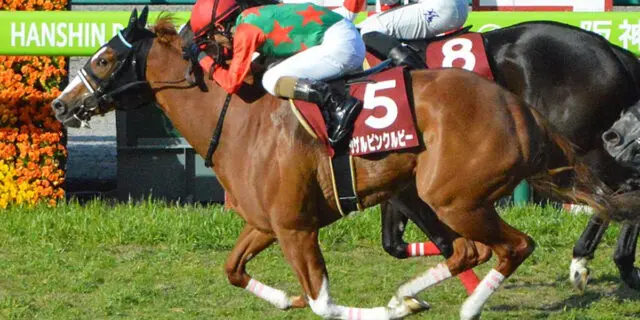 【JRA北九州記念2023予想】シゲルピンクルビー長期休養明けでも狙える仕上がり