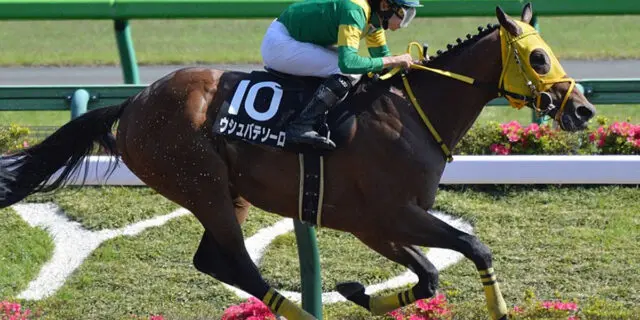 【BCクラシック予想2023】日本総大将ウシュバテソーロ、史上初の偉業達成に挑む！