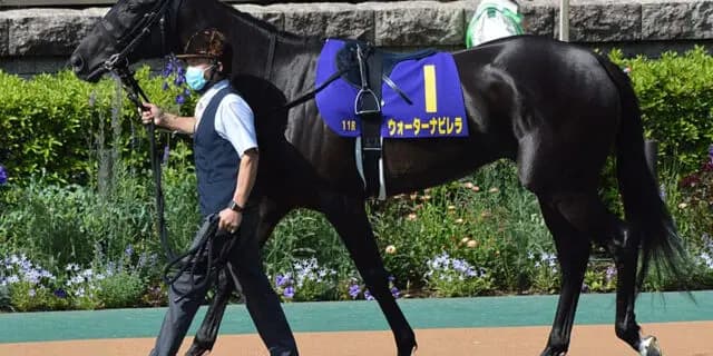 【キーンランドC予想2023】復調気配漂うウォーターナビレラ、U.リスポリ騎手との初コンビで完全復活なるか？