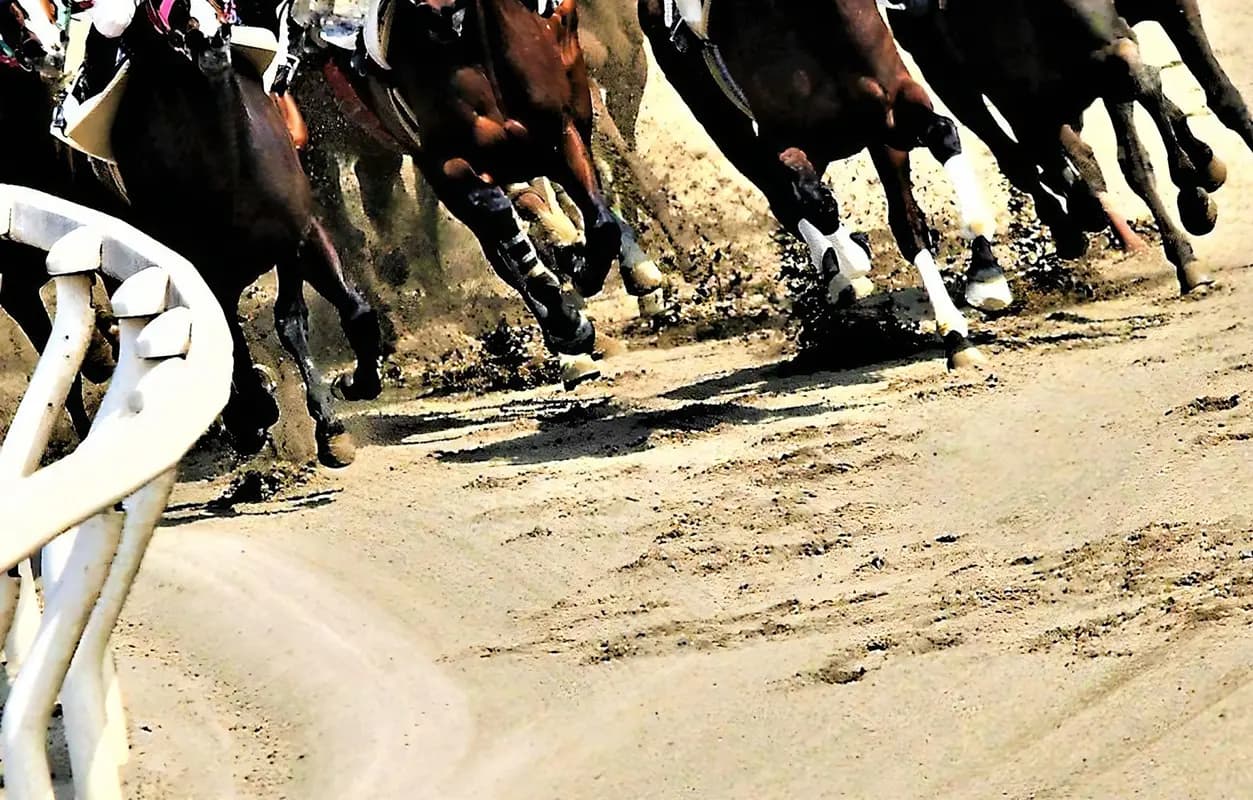 【ユニコーンS予想2026】3歳馬ダート路線の登竜門！メルカントゥールやシルバーレシオなど出走予定馬を考察