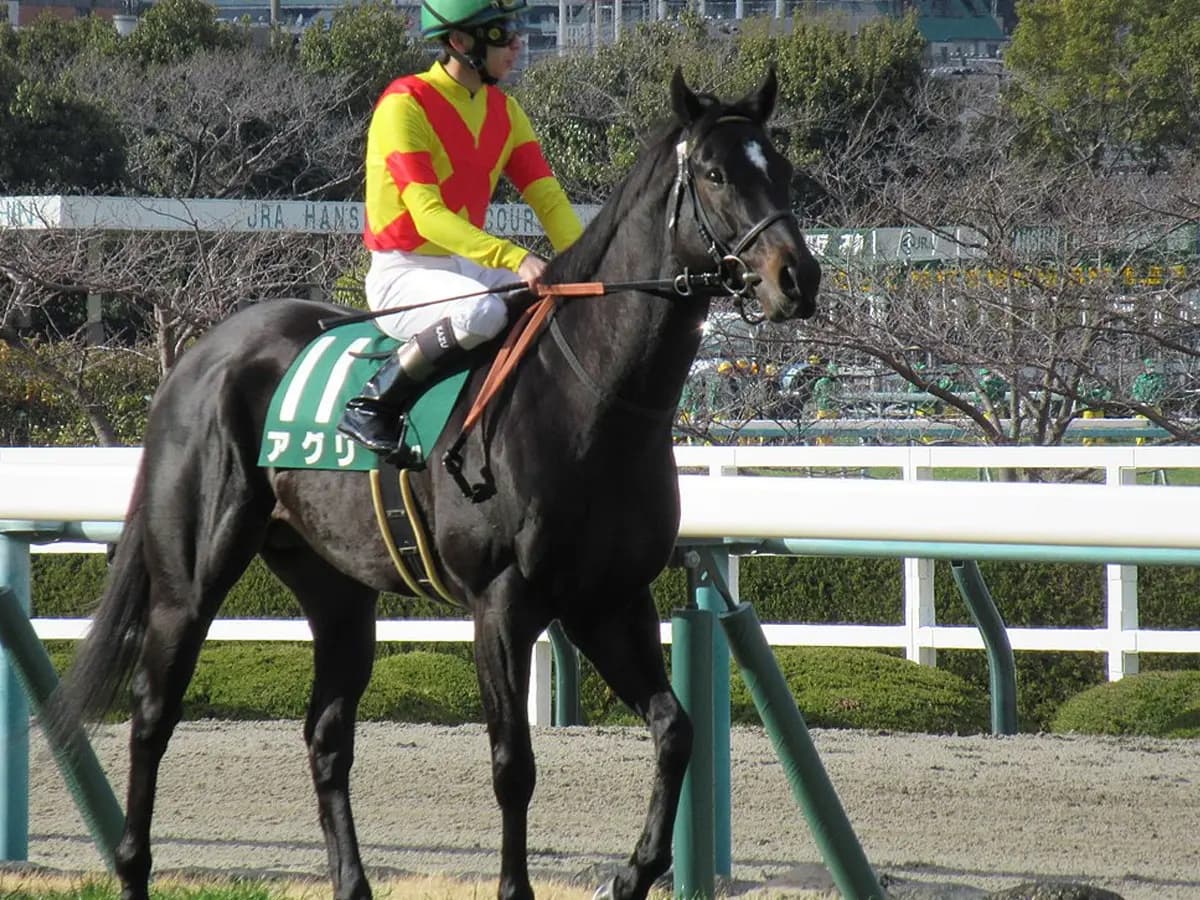 アグリが現役引退、今後は乗馬に
