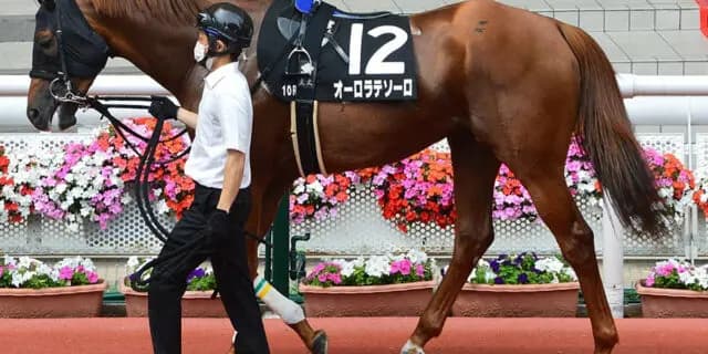 【テレ玉杯オーバルスプリント】オーロラテソーロ✕川田将雅騎手、好条件ズラリ