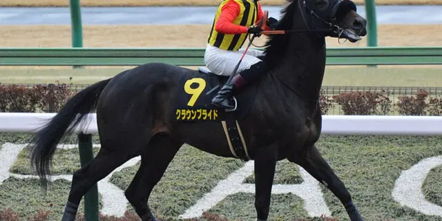 【マーキュリーカップ2025予想】クラウンプライド復活へ！ダート戦線で存在感示すか？