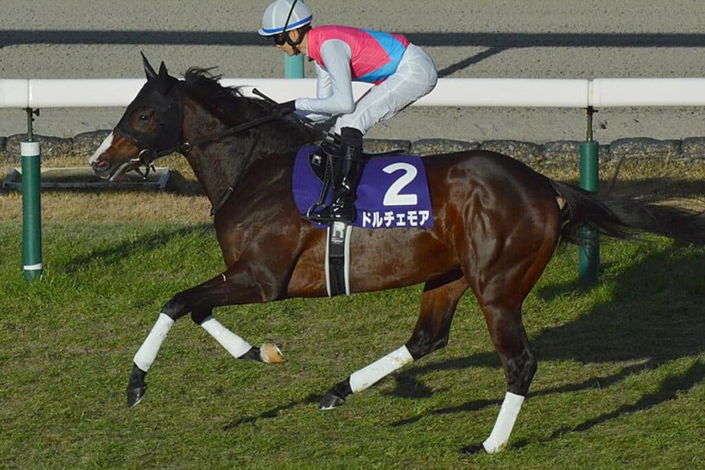 【セントウルステークス】Ｇ１馬ドルチェモア、池添謙一騎手とのコンビ＆距離短縮で復活なるか？