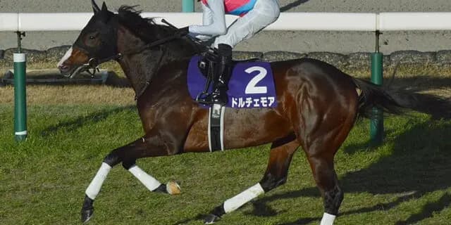 【セントウルステークス】Ｇ１馬ドルチェモア、池添謙一騎手とのコンビ＆距離短縮で復活なるか？