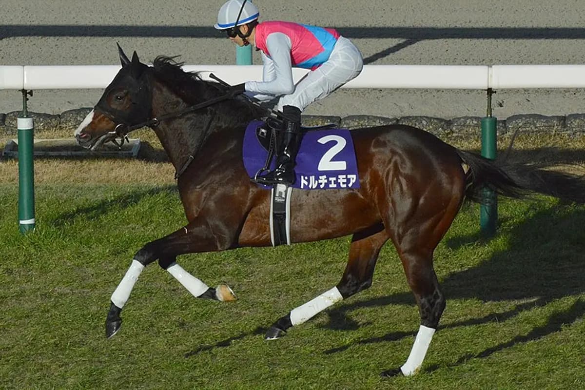 【セントウルステークス】Ｇ１馬ドルチェモア、池添謙一騎手とのコンビ＆距離短縮で復活なるか？