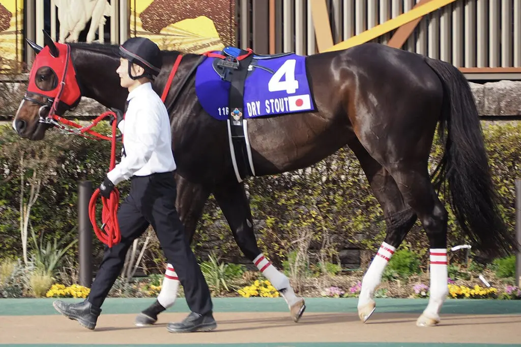 【テレ玉杯オーバルスプリント2023予想】実績上位ドライスタウト、貫禄の勝利となるか？