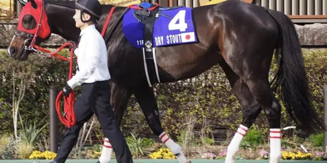 【テレ玉杯オーバルスプリント2023予想】実績上位ドライスタウト、貫禄の勝利となるか？