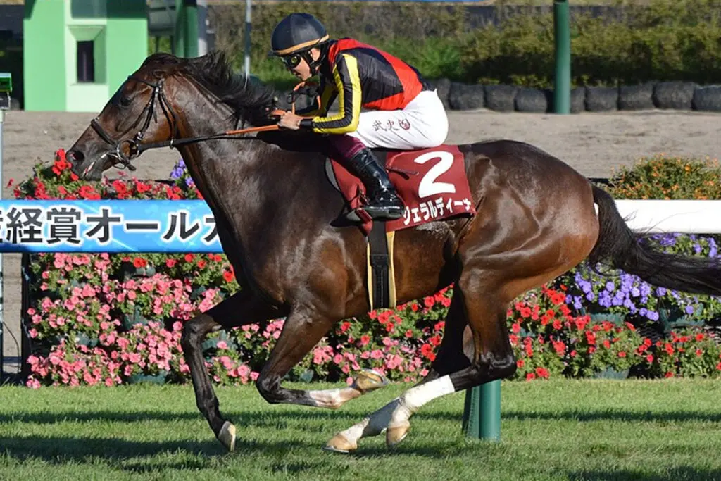 【オールカマー2023】ジェラルディーナは危険な人気馬？複数の不安要素アリ