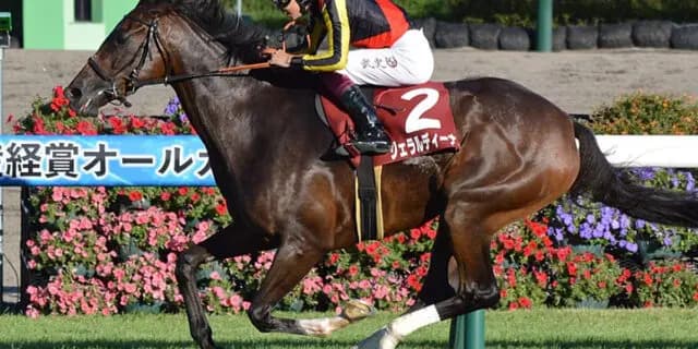 【オールカマー2023】ジェラルディーナは危険な人気馬？複数の不安要素アリ