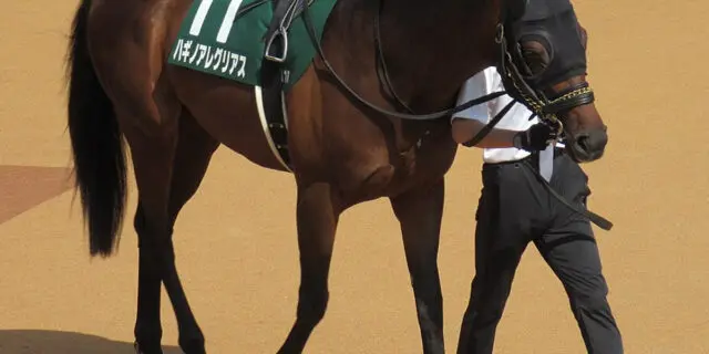 【平安ステークス予想2024】安定感抜群ハギノアレグリアス、“衰え”の懸念あり？