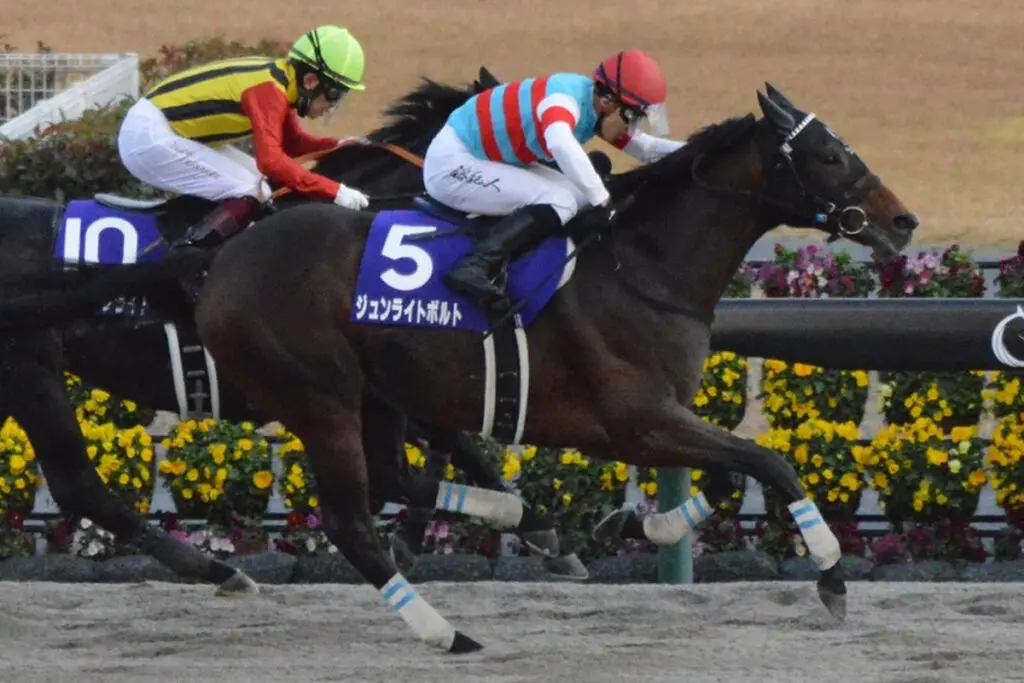 【JRA】ジュンライトボルトが引退、種牡馬入り