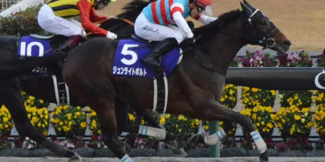 【JRA】ジュンライトボルトが引退、種牡馬入り