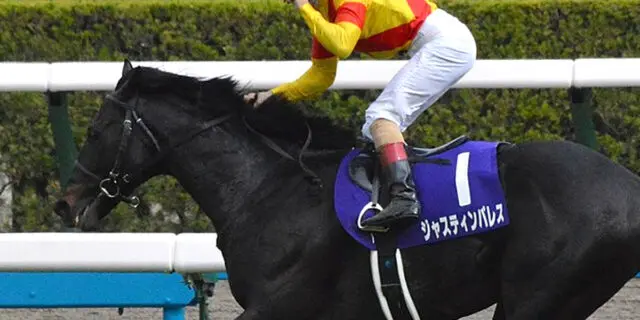 【JRA】ジャスティンパレスは放牧へ、秋に備えて休養