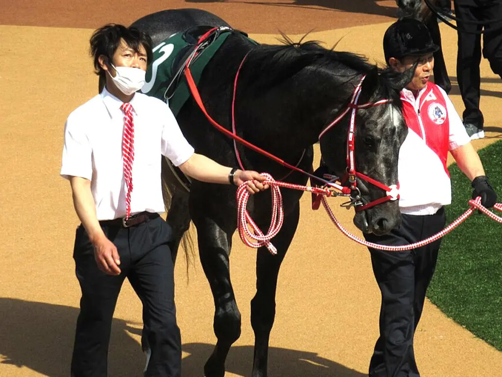 【シリウスステークス2023予想】カフジオクタゴン、2000mで変わり身期待