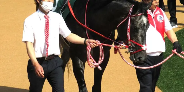 【シリウスステークス2023予想】カフジオクタゴン、2000mで変わり身期待