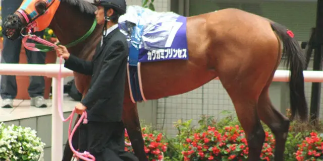 【JRA】カワカミプリンセスが起立不能で死亡