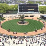 【デイリー杯2歳S予想2025】クラシックへと繋がる2歳戦！カヴァレリッツォやアドマイヤクワッズなど出走予定馬を考察