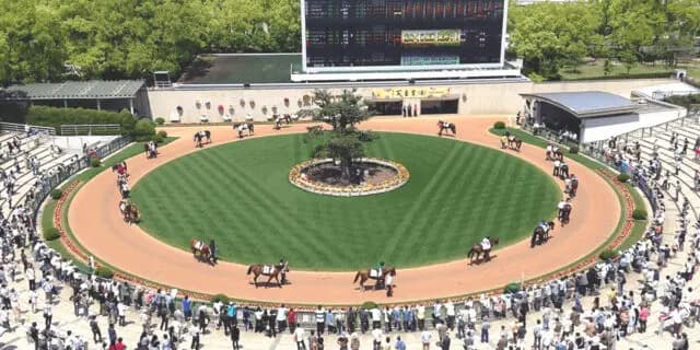 【デイリー杯2歳S予想2025】クラシックへと繋がる2歳戦！カヴァレリッツォやアドマイヤクワッズなど出走予定馬を考察