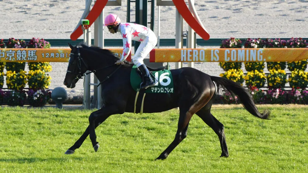 【オールカマー2023予想】良馬場＆ハイペースならマテンロウレオ、巻き返しの期待十分