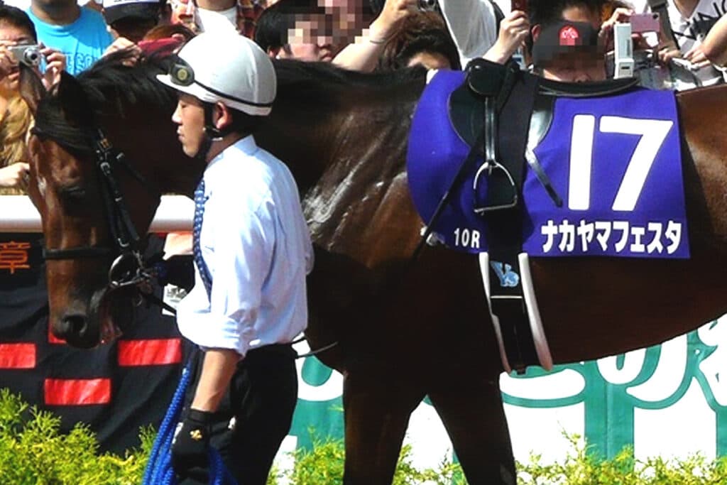 【JRA】ウマ娘でも大人気のナカヤマフェスタが種牡馬引退、功労馬に