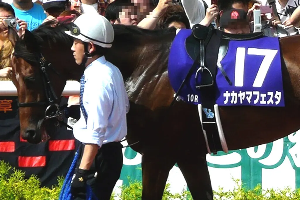 【JRA】ウマ娘でも大人気のナカヤマフェスタが種牡馬引退、功労馬に