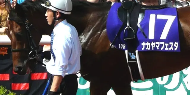 【JRA】ウマ娘でも大人気のナカヤマフェスタが種牡馬引退、功労馬に