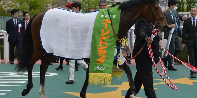 オオバンブルマイは豪G1ドンカスターマイルへ、その後は香港G1チャンピオンズマイルへ