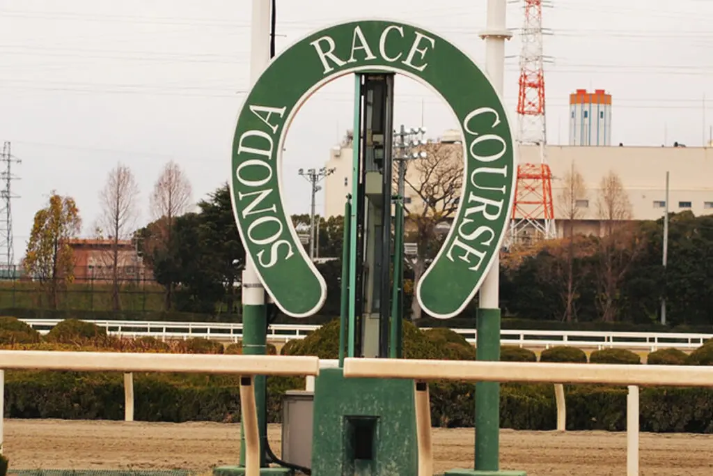 【兵庫ジュニアグランプリ2025予想】過去の傾向が示す“地方勢有利”の構図、次代のスター候補は誰だ？