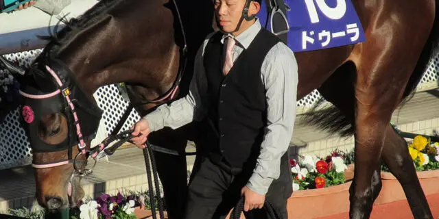 【JRA】ドゥーラは屈腱炎で1年以上の休養、エリザベス女王杯は見送り