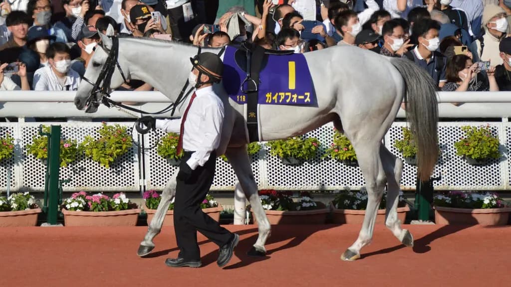 【安田記念2025予想】2年連続4着の雪辱なるか？ガイアフォース、三度目の正直へ