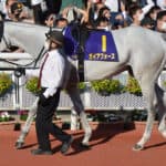 【安田記念2026】4度目にして最大の好機！ガイアフォース、悲願達成の条件は揃った？