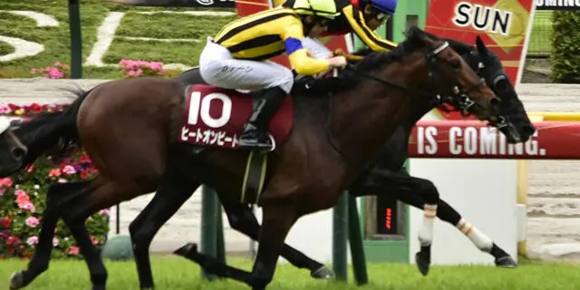 【アルゼンチン共和国杯2023予想】ヒートオンビート条件好転で反撃！得意舞台で改めて期待