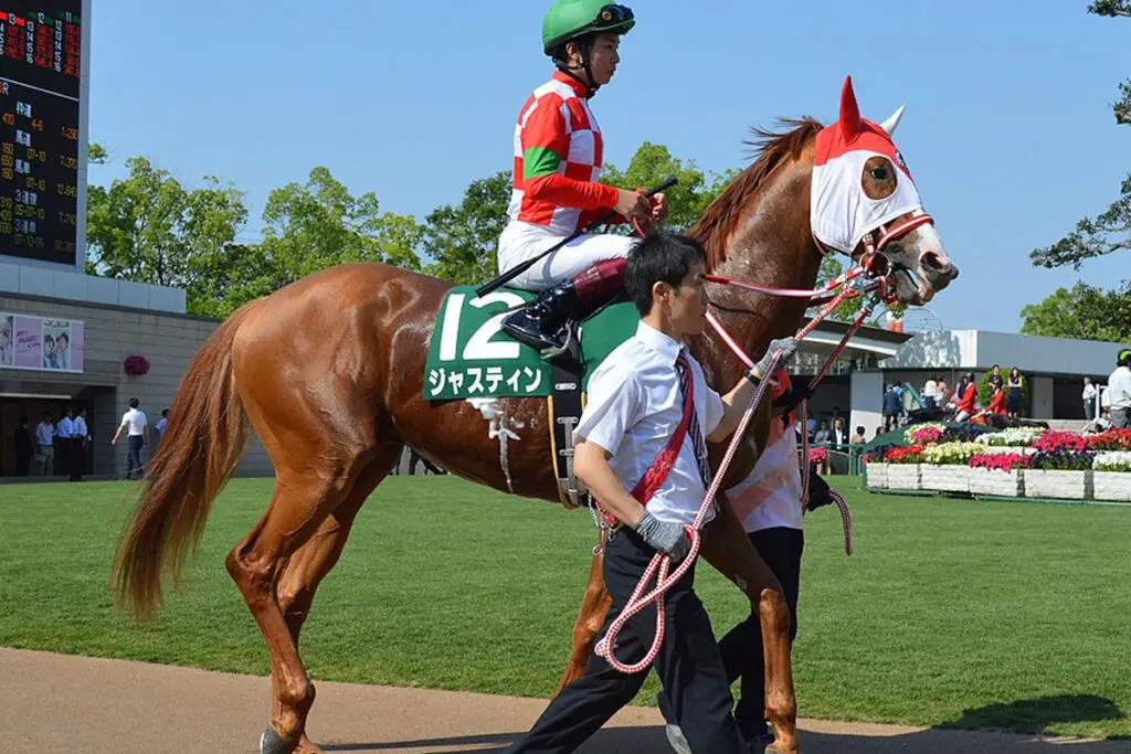 【JBCスプリント予想2023】ジャスティン、移籍後初勝利を大舞台で挙げられるか