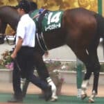 【マイルCS予想2025】レーベンスティール、異色の挑戦でマイル王奪取へ