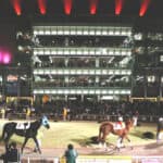 【ハイセイコー記念2025予想】荒削りのゼーロス、“大井替わり”はプラス