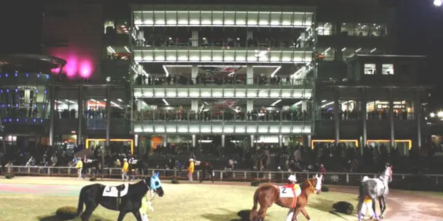 【ハイセイコー記念2025予想】荒削りのゼーロス、“大井替わり”はプラス