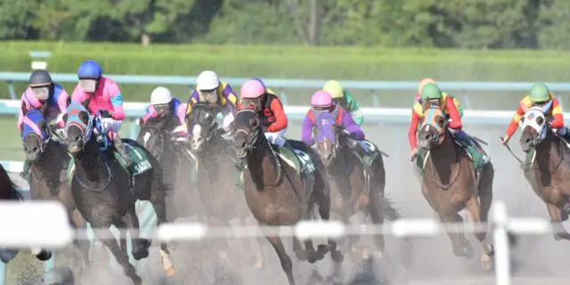 【御陵ステークス2025予想】混戦模様のハンデ戦!若駒と実績馬の力比べに注目