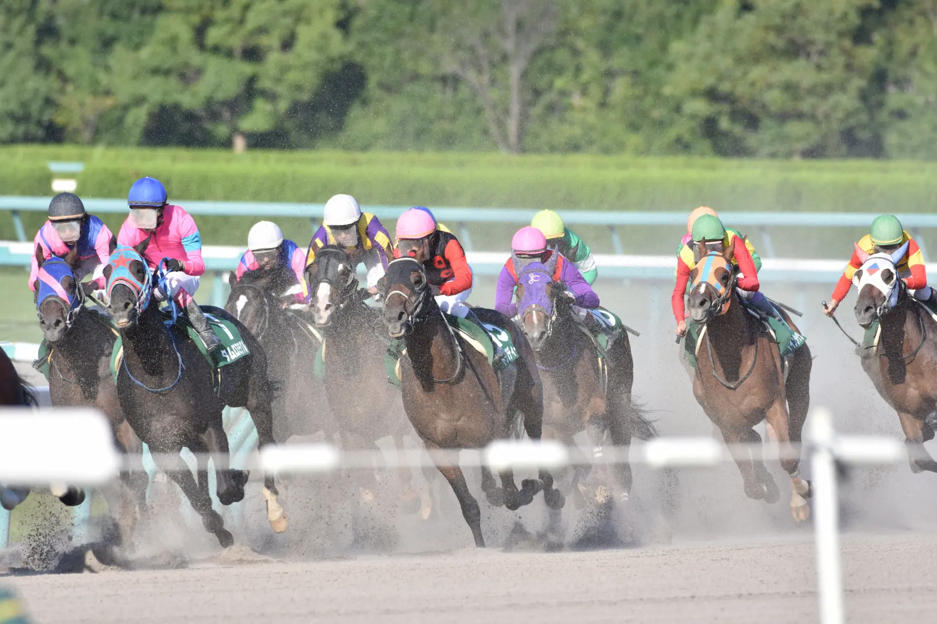 【御陵ステークス2025予想】混戦模様のハンデ戦！若駒と実績馬の力比べに注目
