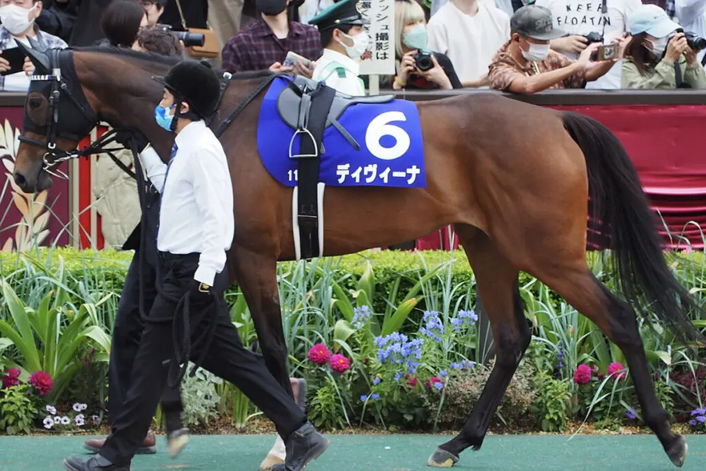 エリザベス女王杯・7着のディヴィーナは香港マイルを辞退、3着馬のハーパーは香港カップを辞退