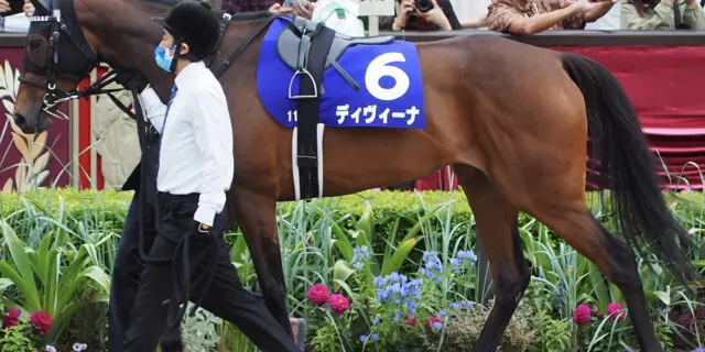 エリザベス女王杯・7着のディヴィーナは香港マイルを辞退、3着馬のハーパーは香港カップを辞退