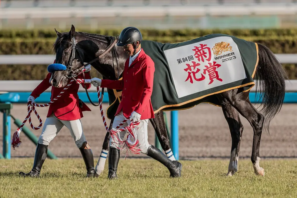 【JRA】菊花賞を快勝したドゥレッツァ、有馬記念を回避し年内休養
