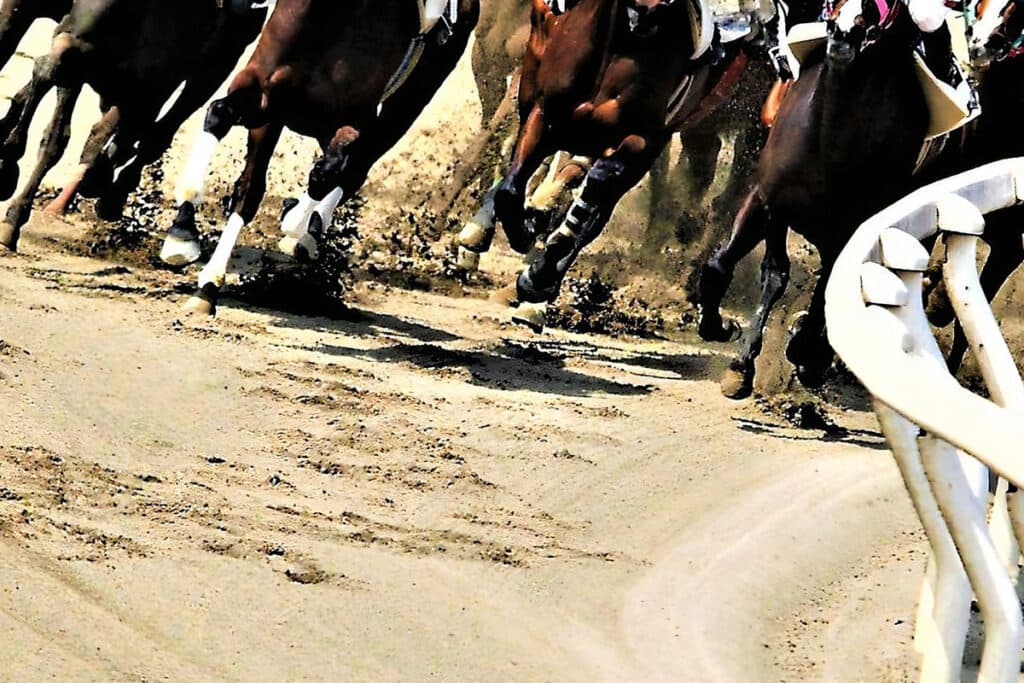 【みやこステークス予想2025】チャンピオンズCの前哨戦！ダブルハートボンドやアウトレンジなど出走予定馬を考察