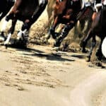 【みやこステークス予想2025】チャンピオンズCの前哨戦！ダブルハートボンドやアウトレンジなど出走予定馬を考察