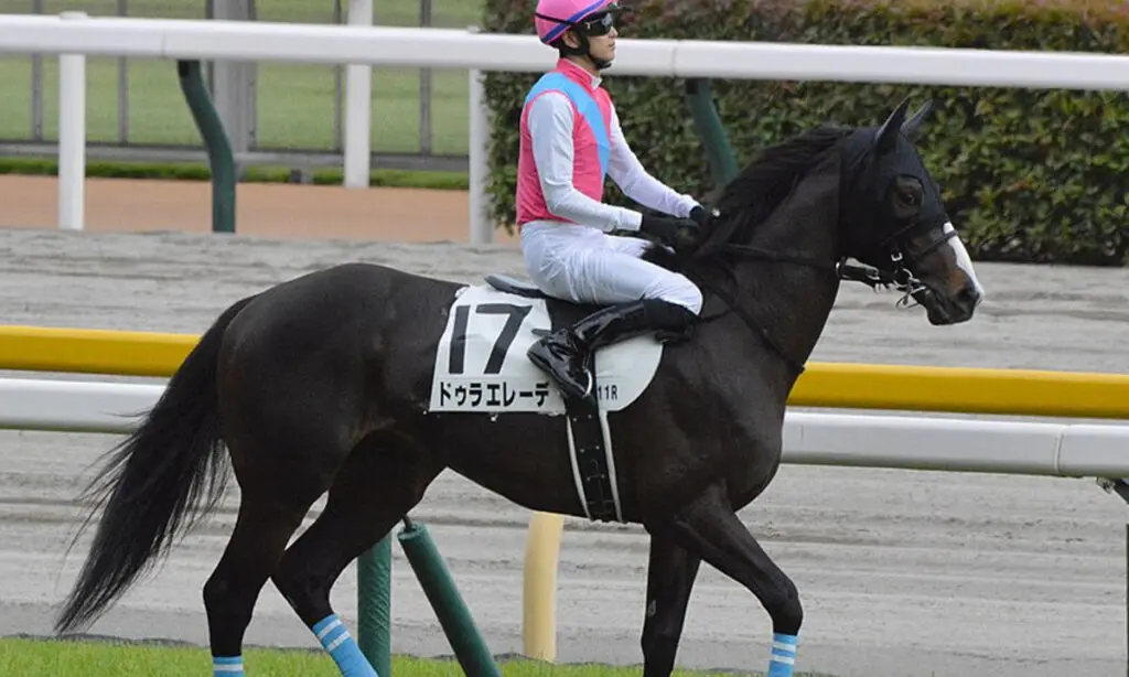 【東京大賞典2023】ドゥラエレーデは有馬記念回避、B.ムルザバエフ騎手とのコンビで東京大賞典へ