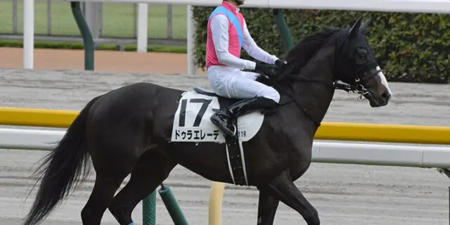 【東京大賞典2023】ドゥラエレーデは有馬記念回避、B.ムルザバエフ騎手とのコンビで東京大賞典へ
