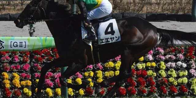 【阪神カップ2023予想】狙い目はエエヤン！阪神1400mは合う