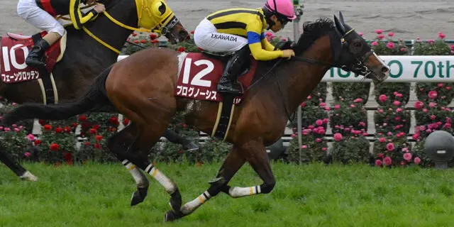 【JRA】プログノーシスが引退、種牡馬入り